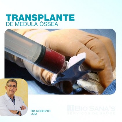 Transplante de Medula Óssea (TMO)