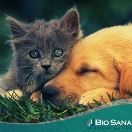 Pets no Pós Transplante