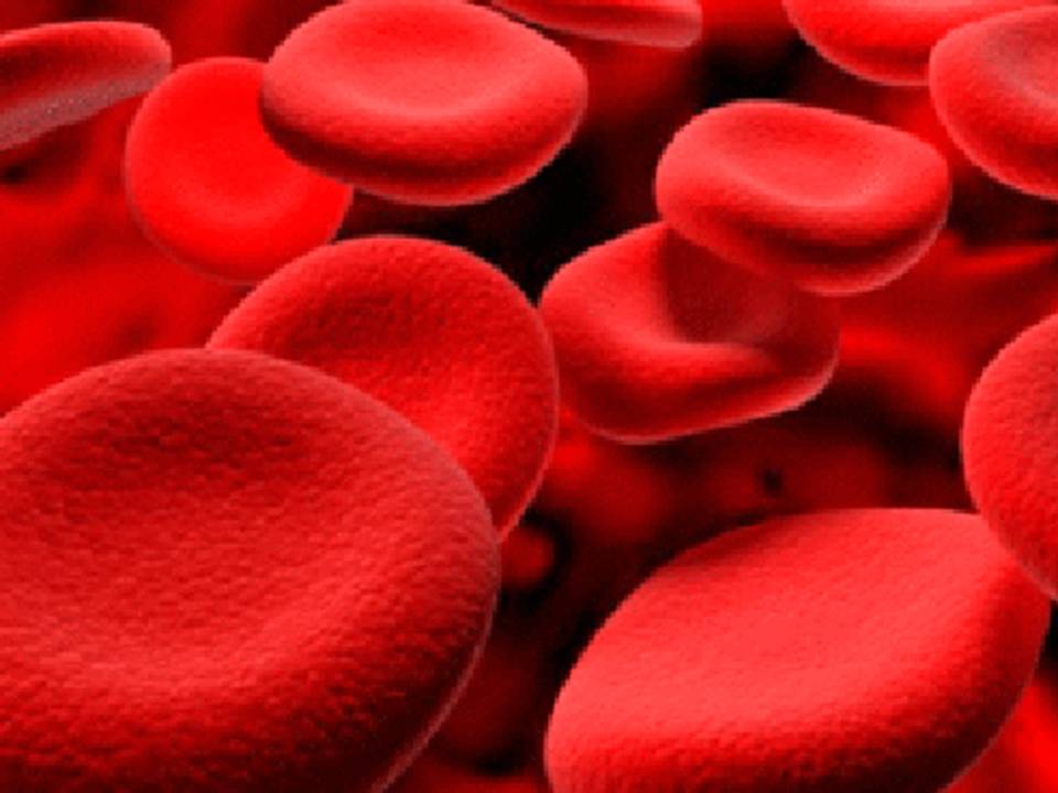 Onco-hematologia