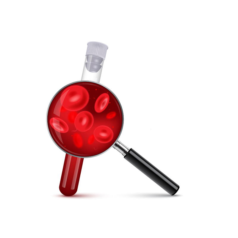 Hematologia