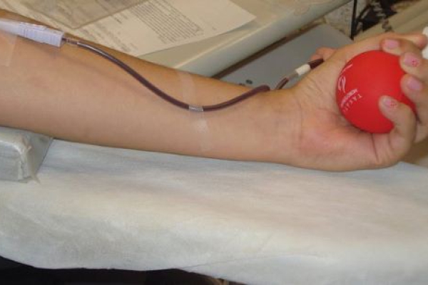 Transplante de Medula Óssea Autólogo