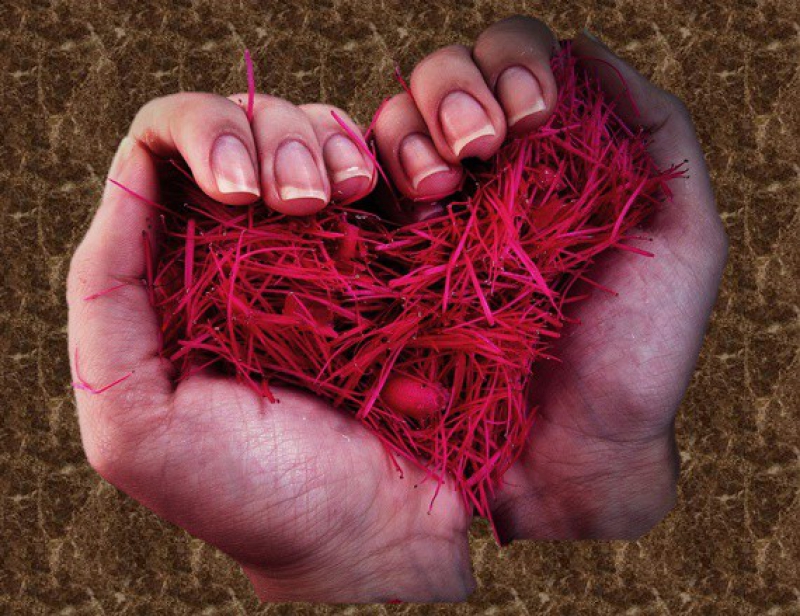 Transplante de Medula Óssea Alogênico